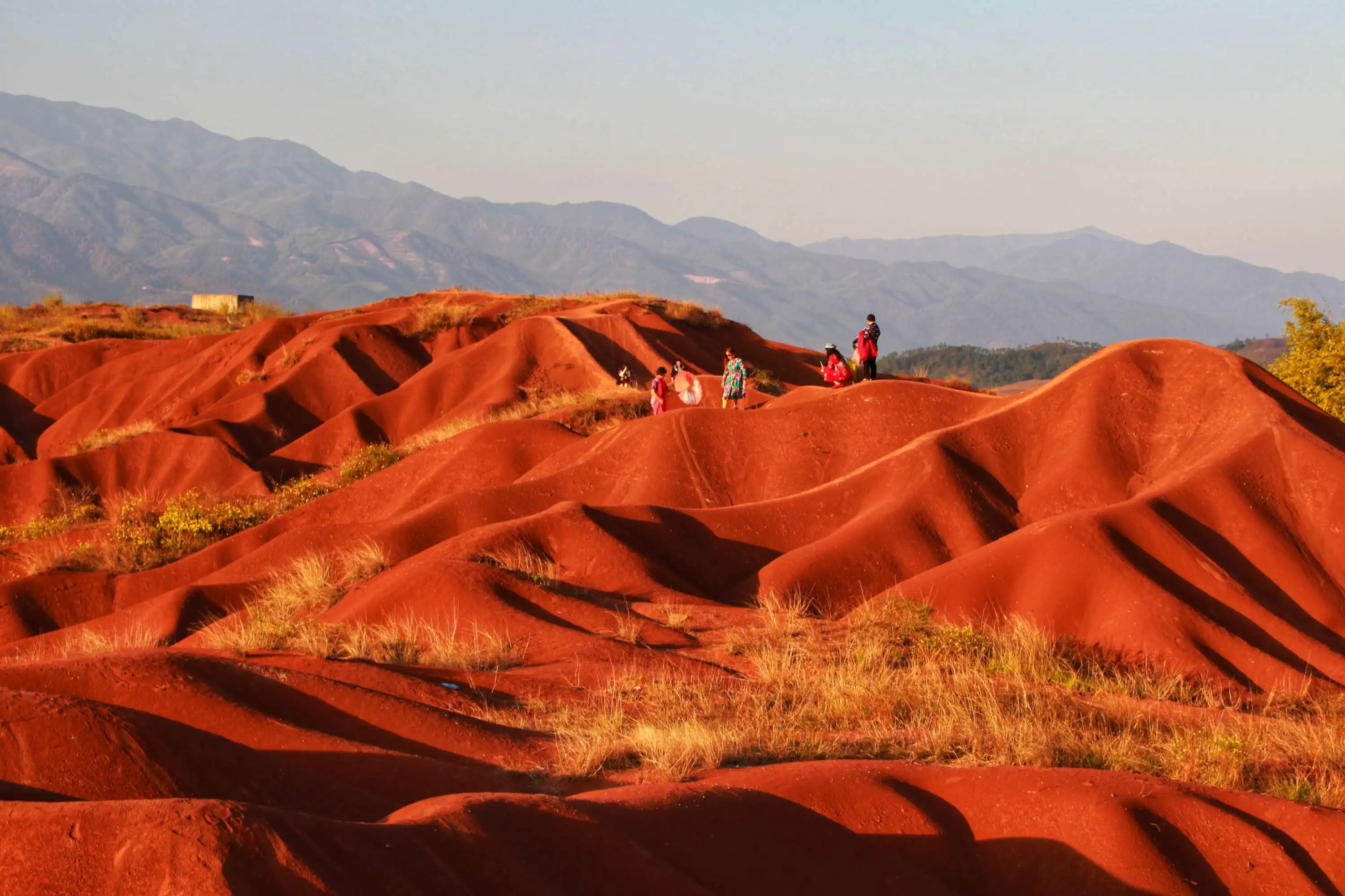 426b72f3a977bdf31b20e385b3ab680