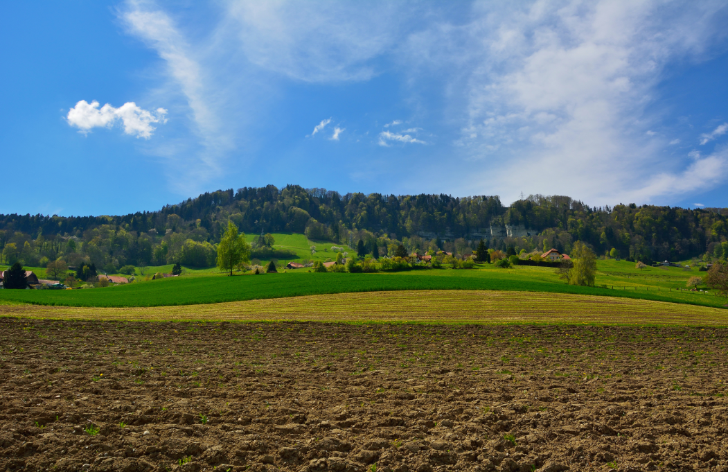 7bd2571dd02c8c566c206bdc2f63052